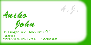 aniko john business card